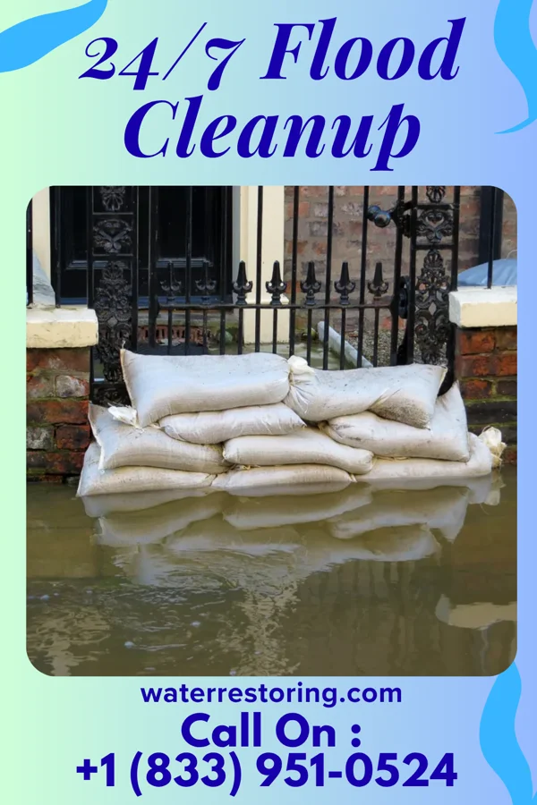24/7 Flood Cleanup in Lake Victoria, MI