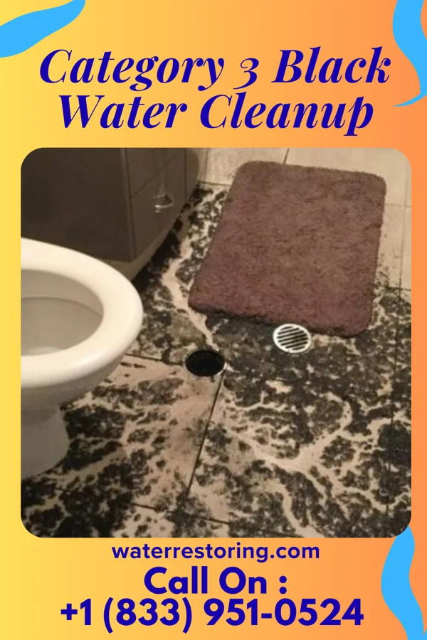 Category 3 Black Water Cleanup in Lake Victoria, MI