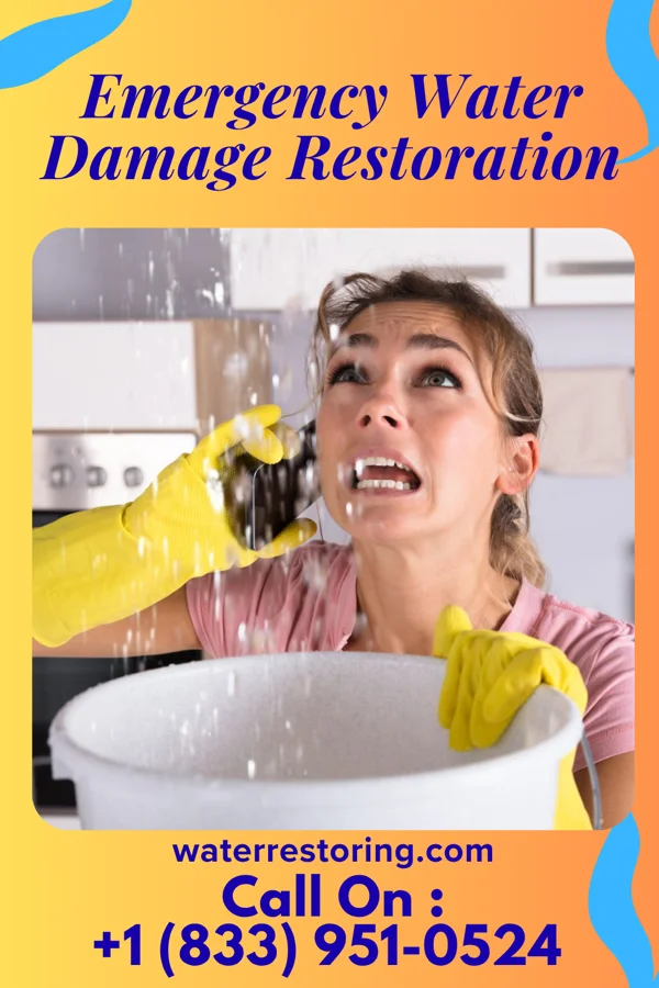 Emergency Water Damage Restoration in Lake Victoria, MI